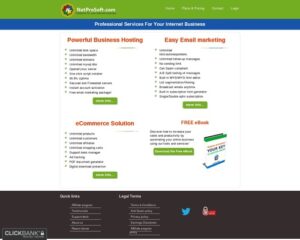 Professional Web hosting